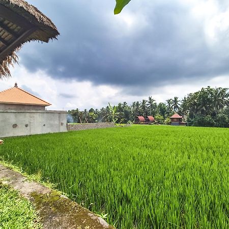 Villa Padi Menari Ubud Eksteriør bilde