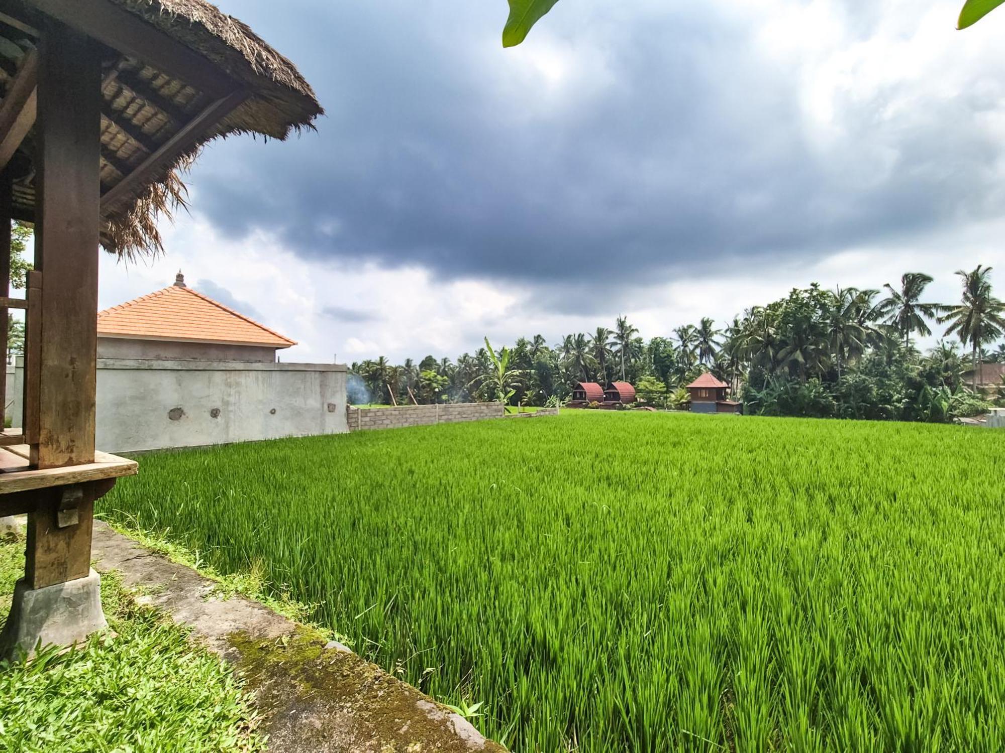 Villa Padi Menari Ubud Eksteriør bilde