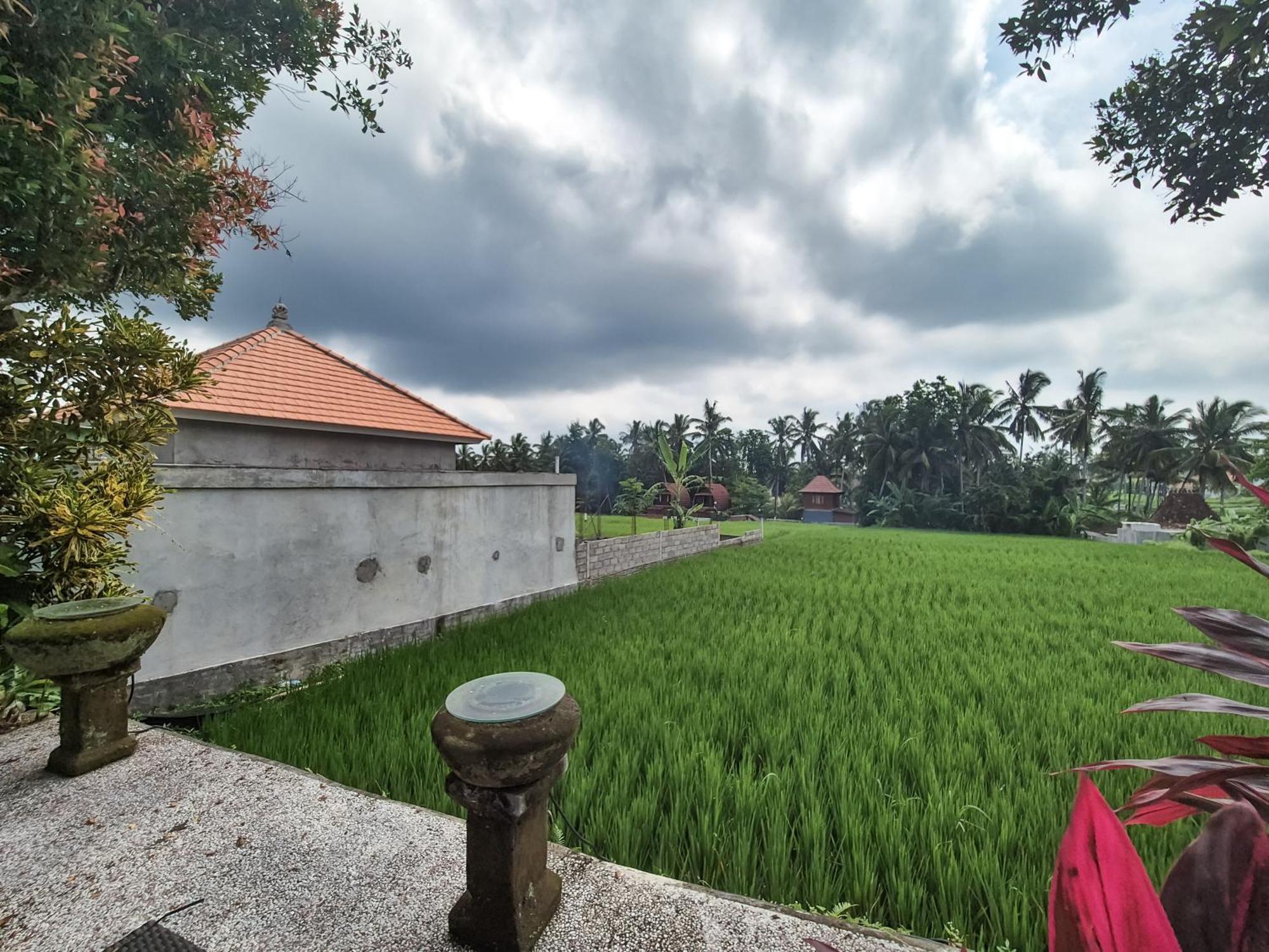 Villa Padi Menari Ubud Eksteriør bilde