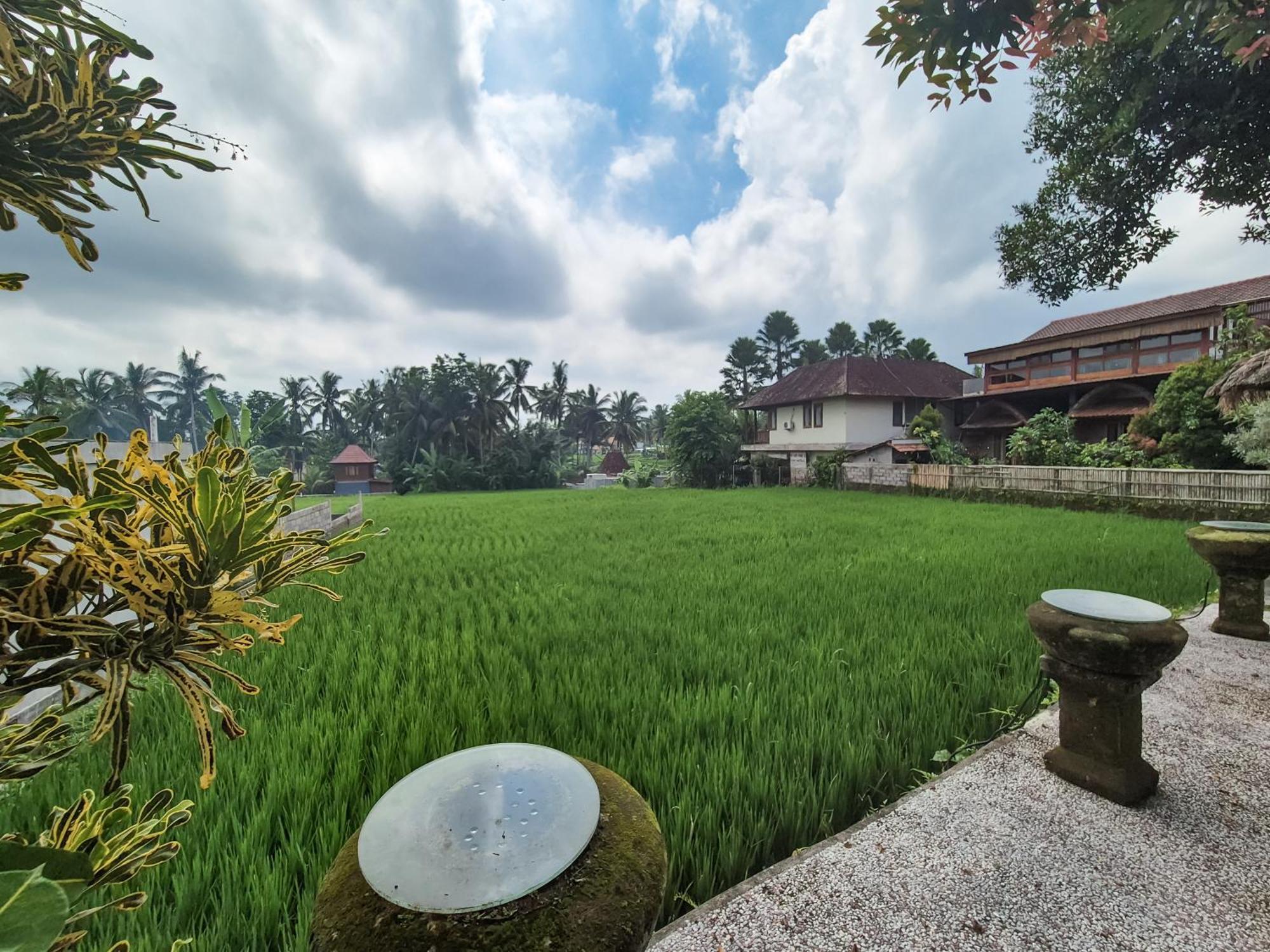 Villa Padi Menari Ubud Eksteriør bilde