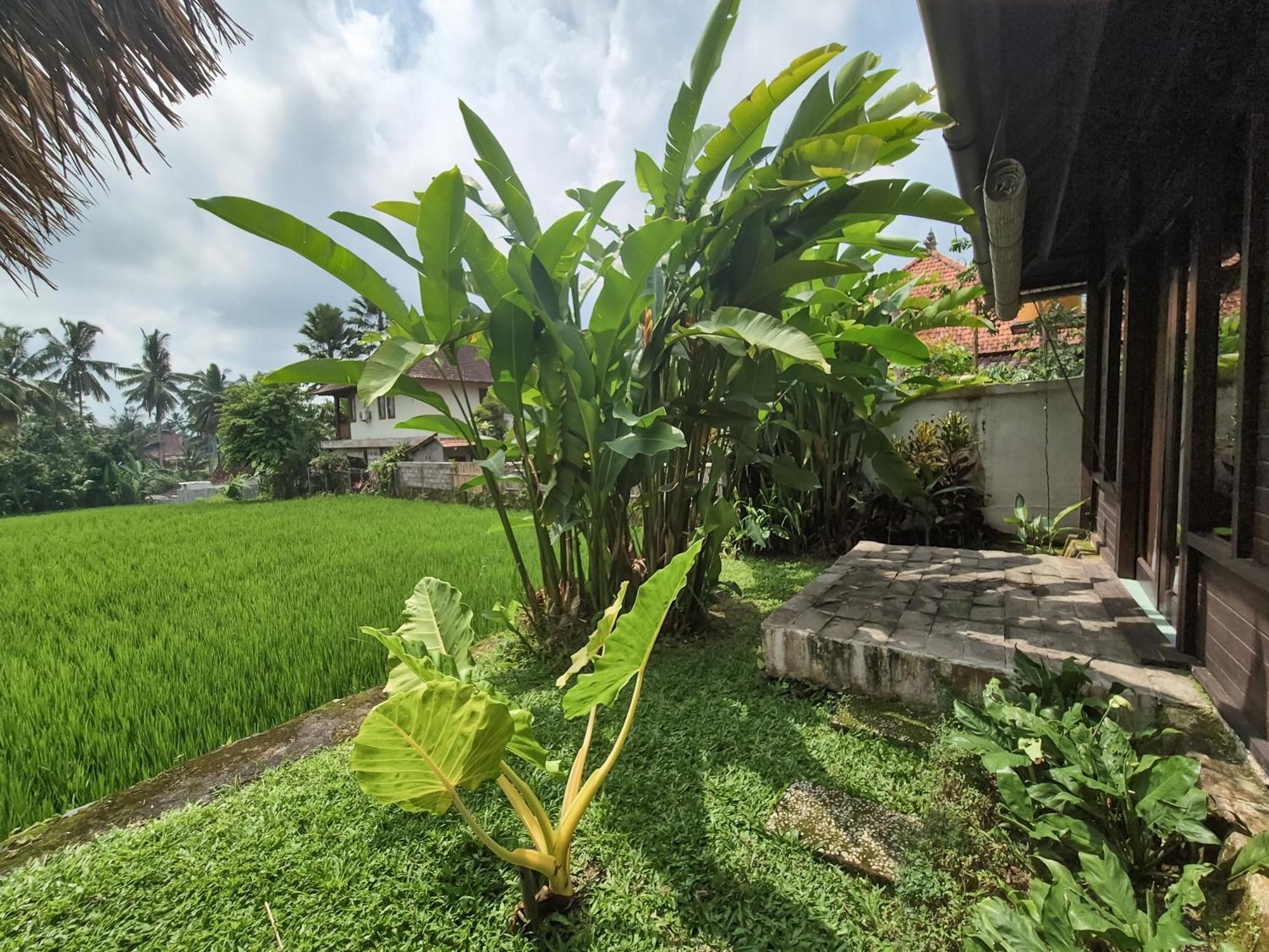 Villa Padi Menari Ubud Eksteriør bilde